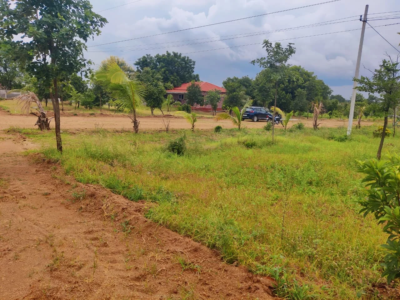 Vedhaa Sreehitha Farms premium farmland in Hyderabad